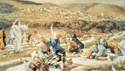 sap minh ta on 12112025   thu tu tuan 32 thuong nien