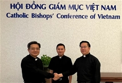 hoi dong giam muc viet nam bo nhiem nhan su 24112025