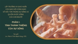 lap truong va giao huan cua giao hoi cong giao ve viec ton trong su song va quyen duoc song cua con nguoi phan 1   tinh thanh thieng cua su song