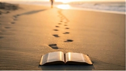 ngay cang nhieu ban tre tim hieu on goi o cac chung vien phap