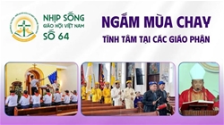 ngam mua chay   tinh tam tai cac giao phan   nhip song giao hoi viet nam so 64 0232026   0932026