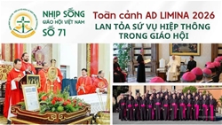 toan canh ad limina 2026   lan toa su vu hiep thong trong xa hoi   nhip song giao hoi viet nam so 71 2142026   2742026