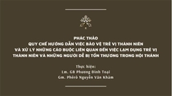 phac thao quy che huong dan viec bao ve tre vi thanh nien va xu ly nhung cao buoc lien quan den viec lam dung tre vi thanh nien va nhung nguoi de bi ton thuong trong hoi thanh