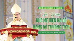 bai giang cua duc tong giam muc giuse nguyen chi linh trong thanh le mung kinh duc maria hon xac len troi   dai hoi hanh huong duc me la vang lan thu 32