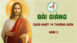 bai giang chua nhat xiv mua thuong nien nam c