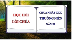 hoi loi chua chua nhat xxx thuong nien   nam b