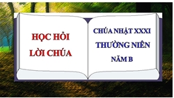 hoc hoi loi chua chua nhat xxxi thuong nien   nam b