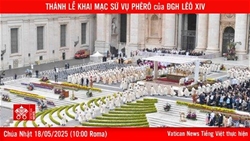 ???????thanh le khai mac su vu phero cua duc tan giao hoang leo xiv 1805