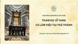 hoi dong giam muc viet nam tham du le tang va lam viec tai toa thanh