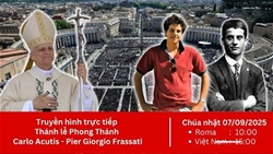 truyen hinh truc tiep thanh le phong thanh cho carlo acutis va pier giorgio frassati