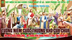 bai suy niem chua nhat le la nam a
