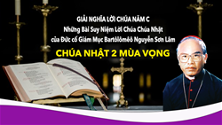 giai nghia loi chua nam c   nhung bai suy niem loi chua chua nhat cua ðuc co giam muc bartolomeo nguyen son lam