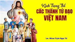 suy niem chua nhat 33 tn kinh cac thanh tu dao viet nam