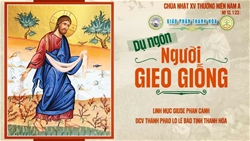 bai suy niem chua nhat xv thuong nien – nam a gia tri cua loi chua