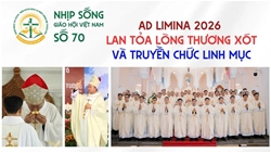 ad limina 2026 lan toa long thuong xot va truyen chuc linh muc   nhip song giao hoi viet nam so 70 1332026   2042026