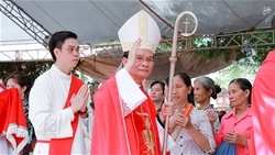 hon 5.000 gioi hien mau giao phan thanh hoa hanh huong ve den thanh ane le thi thanh – giao xu duc tam
