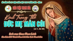 bai suy niem chua nhat xxvii thuong nien nam c   kinh trong the le duc me man coi