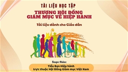 tai lieu hoc tap thuong hoi dong giam muc ve hiep hanh danh cho giao dan